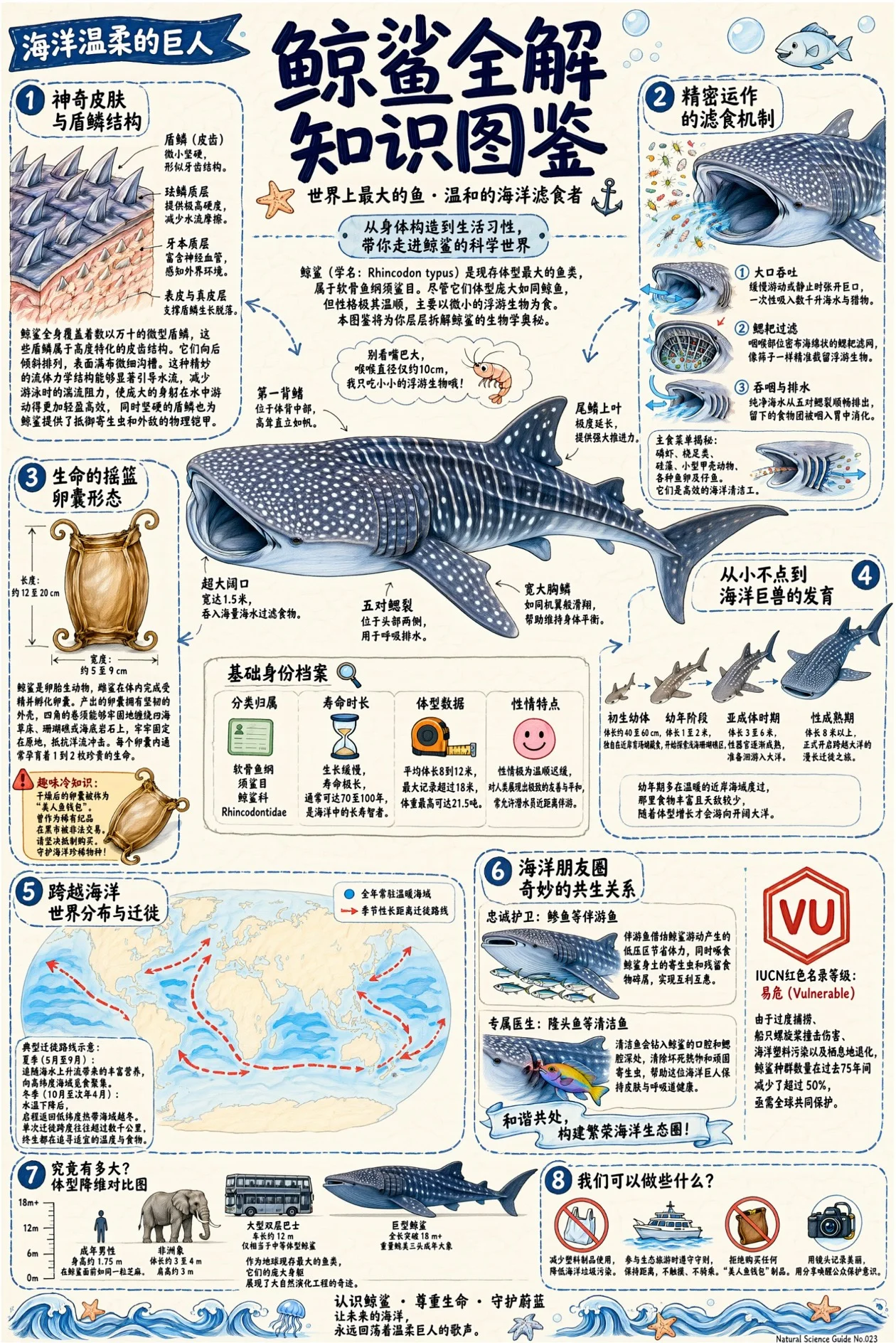 Official Qwen Image 3 whale infographic with fine labels and callouts
